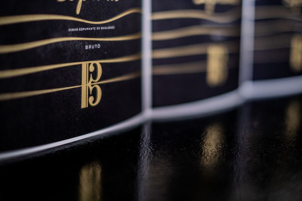 <p>Hot Stamping / Metalizados</p>